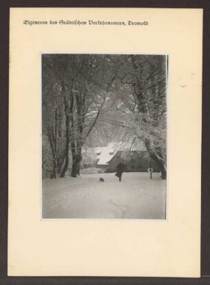 Obere Mühle im Winter. Detmold. Friedrichstaler Kanal