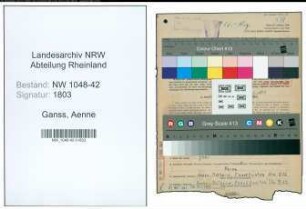 Entnazifizierung Aenne Ganss , geb. 30.12.1912 (Lageristin)