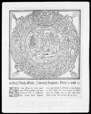 Die Lübecker Bibel von 1494 — Die Erschaffung Evas