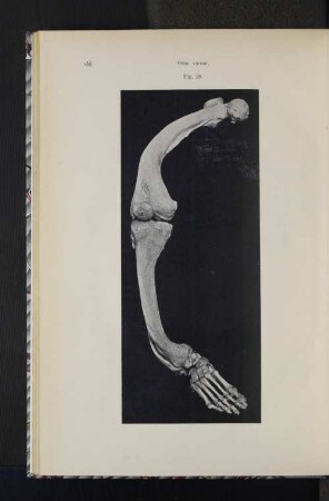 Fig. 28.