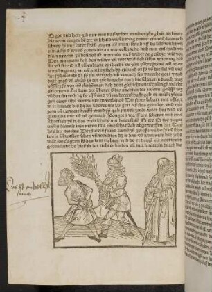 Der gefangene Dieb; (Kapiel II: Von dem Löwen und dem Ochsen)