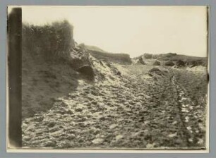 Im Dünensand auf Sylt