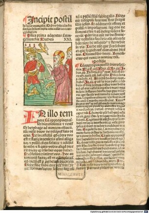 Postilla guillermi super Epistolas et Euangelia de tempore [et] sanctis Et pro defunctis