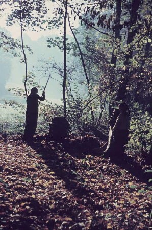 Thüringer Wald. Frauen beim Laub rechen