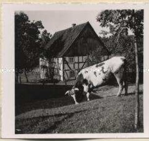 Finkenrath