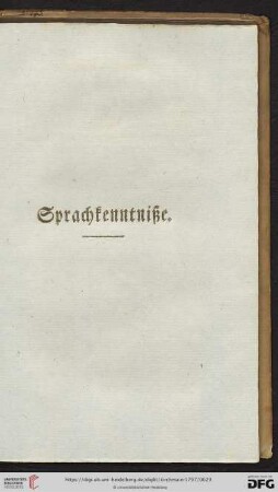 Sprachkenntniße