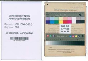 Entnazifizierung Bernhardine Wiesebrock , geb. 05.07.1890 (Kauffrau)