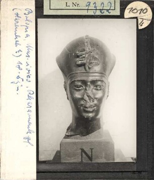 Bologna, Museo Civico: Pharaonenkopf (Haremhab?) 18. Dyn.