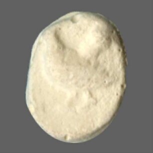 cn coin 8492 (Selymbria)
