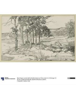 Landschaft mit Kiefernstand und Teich