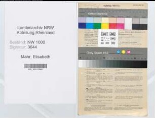 Entnazifizierung Elisabeth Mahr, geb. 02.07.1907 (Bueroangest.)
