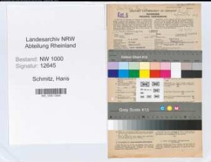 Entnazifizierung Hans Schmitz, geb. 05.04.1905 (Bankangest.)