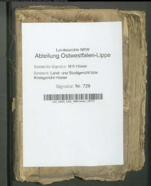Beglaubigung der Heiraten unter den Juden.: Bd. 2