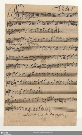 Viola 1[m]a