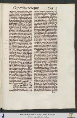 Sermones Super Salve regina