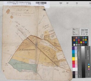 Oesterweg (Versmold) Teilung der Mölmannsheide und auf den Hacken Entwurf um 1780 o.M. unregelmäßig kol. Zeichnung (Reinhold) Spez.Verz. Markenkarten X Nr. 148