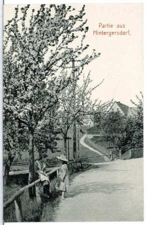 Hintergersdorf. Partie aus Hintergersdorf