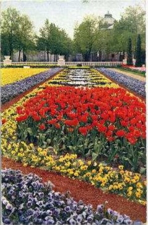 Ansicht der Dresdener Gartenbau-Ausstellung