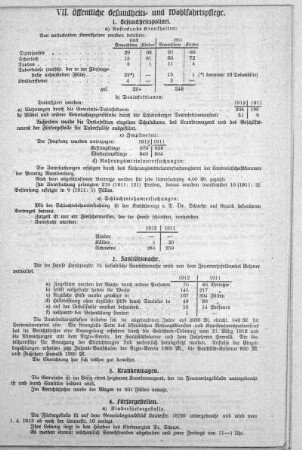 VII. Öffentliche Gesundheits- und Wohlfahrtspflege