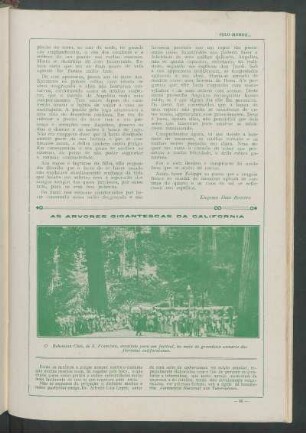 As árvores gigantescas da Califórnia : O Bohemian Club