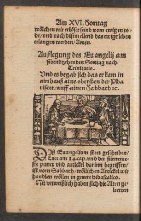 Außlegung des Evangelii am sibendtzehenden Sontag nach Trinitatis.
