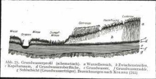 Schematische Darstellung des Grundwasserprofils