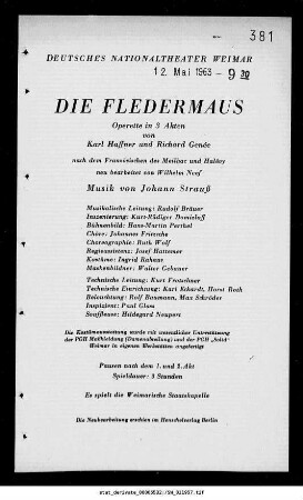 Die Fledermaus