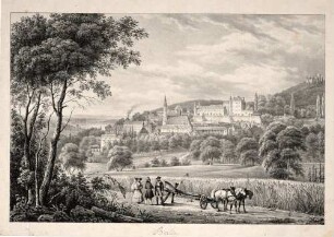 Bade Vue general sur le nouveau et le vieux château