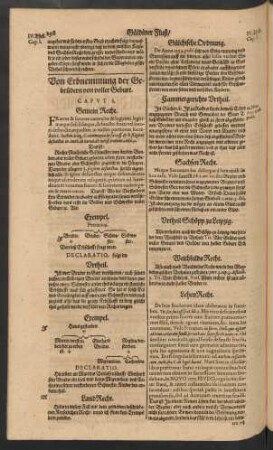 Von Erbnemmung der Gebrüdern von voller Geburt. Caput I.