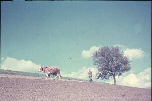 Landarbeit im Dreisamtal