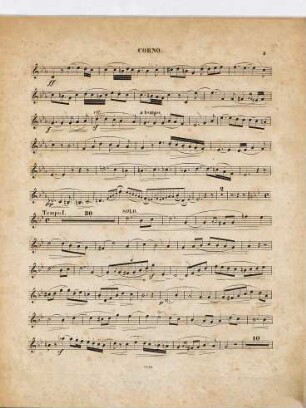 Concert : für Horn mit Begl. d. Orchesters oder d. Pianoforte ; op. 8