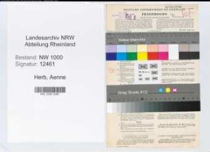 Entnazifizierung Aenne Herb, geb. 11.06.1895 (Kaufm.Angest.)