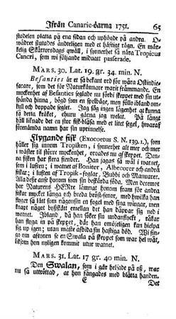 Ifran Canarie - örna 1751