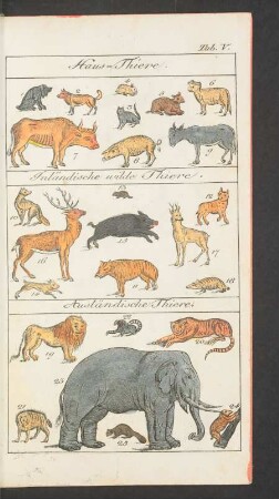Tafel V. Haus-Thiere. Inländische wilde Thiere. Ausländische Thiere.