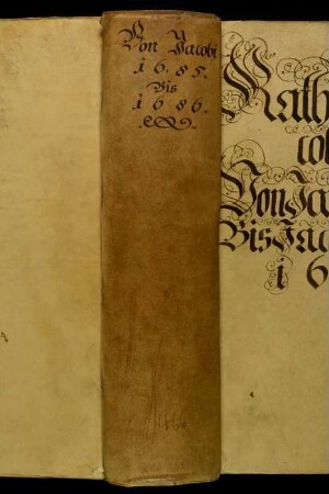 Ratsprotokolle, 1685 Juli 28. - 1686 Juli 27.