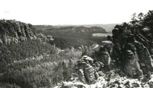 Sächsische Schweiz. Kleiner Bärenstein. Felsen des Nordabsturzes gegen Großen Bärenstein und Rauenstein