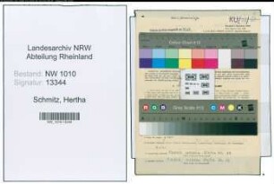 Entnazifizierung Hertha Schmitz , geb. 01.04.1904 (Angestellter)