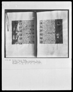Flämisches Gebetbuch — Schriftseite mit einseitiger Bordüre, Folio 19recto