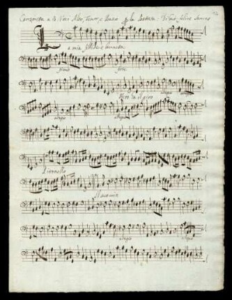 per il Battuta