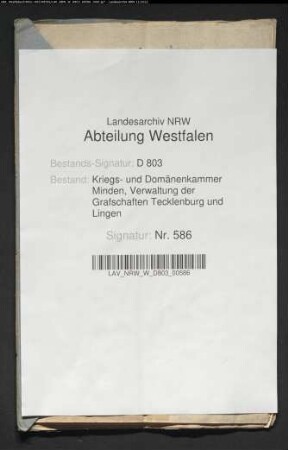 Erteilung eines Schuldkonsenses für den lengerichschen Eigenbehörigen Wiesmann, Bauerschaft Lehen, Kirchspiels Ibbenbüren