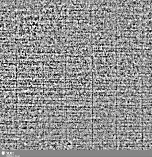 Lilie / CVC = S.5/6