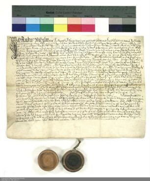 Revers Andreas Wilhelms von Reckrod bezüglich der Belehnung mit einem Anteil an Gütern in Urnshausen und weiteren im Einzelnen aufgeführten Lehen durch Maximilian [III. Erzherzog von Vorderösterreich], kaiserlicher Kommissar des Klosters Fulda