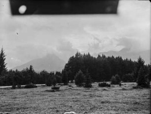 Hohe Tatra : Wald am Fuße der Tatra