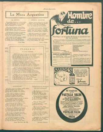 El cóndor