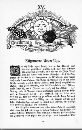 Witterung des Jahres. Naturerscheinungen.