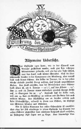 Witterung des Jahres. Naturerscheinungen.