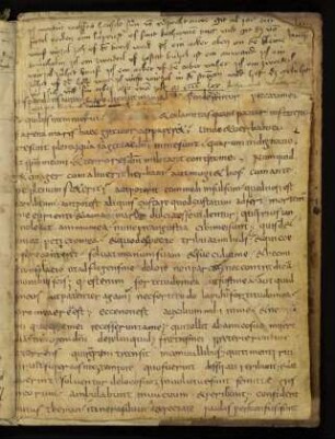 Fragment: Biblia sacra (Teil 2, 9. Jh., siehe auch vorn im Einband)