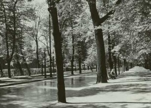 Großer Tiergarten