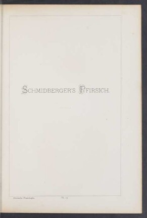 VI. 19. Schmidberger's Pfirsich
