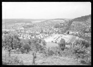 Blick über Wiesen und Bäume Richtung Kreuzwertheim